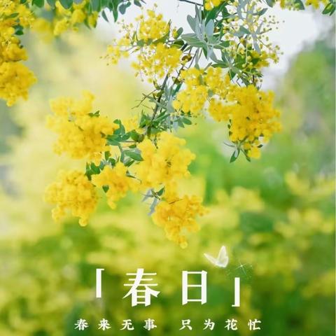 和美十五，花开有期