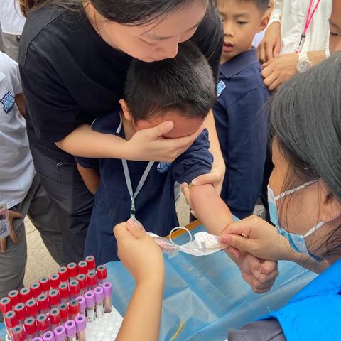 华师附小实习美篇—第六周