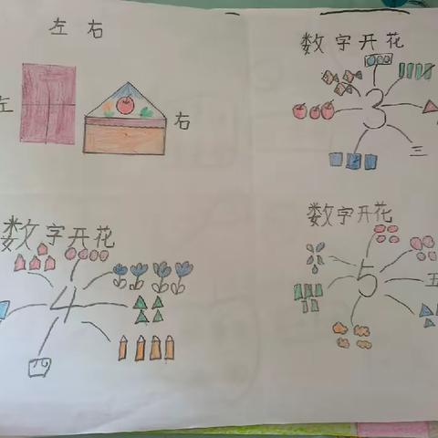 数学小报之数字开花🌼