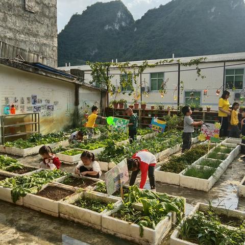 沐浴户外阳光，乐享欢乐童年——幼儿园户外活动篇