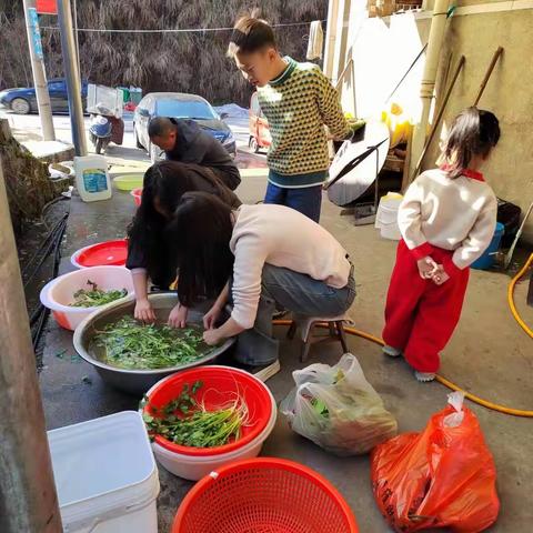 2310班—谭欣妍 “次日乾隆夕，明朝嘉年庆”除夕之夜，零点的烟花升起，便是与过去告别，喜迎新春之际。每户人家都期待着这一刻，我们自然不例外