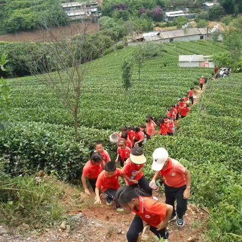 普洱市思茅区第四小学25班—我是小小劳动者职业社会体验实践活动