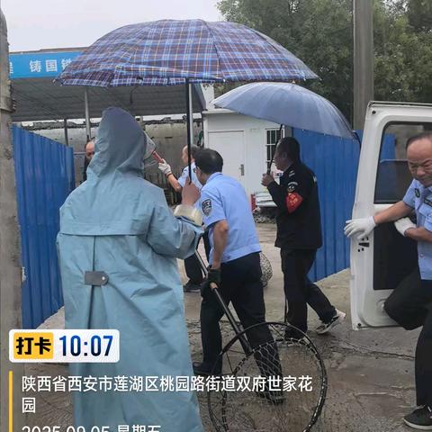 我为群众办实事||双府社区联合限养办开展流浪犬抓捕行动 消除安全隐患