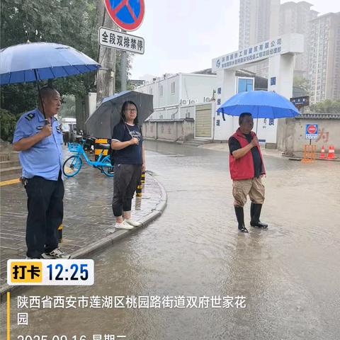 以雨为令||防汛不松懈，筑牢安全线