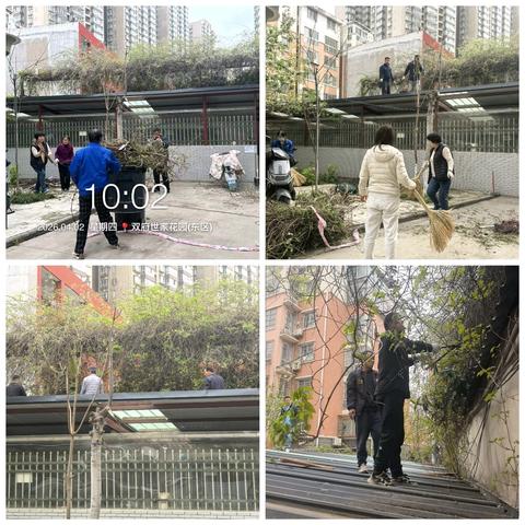 洁净迎清明 环境焕新颜|双府社区开展前环境卫生专项整治行动