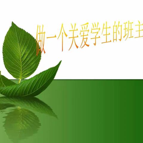 随情潜入心，润生细无声——班主任班级管理专题培训