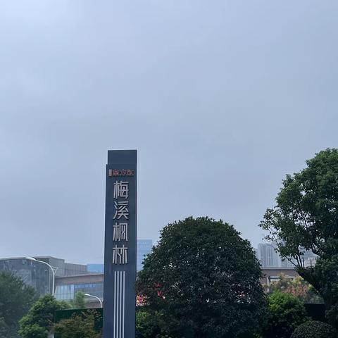 东方红.梅溪枫林2023.9.12小区实况