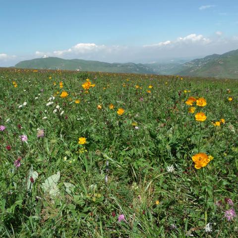 广灵之旅   重拾往昔美好   杨小林 ‍ ‍