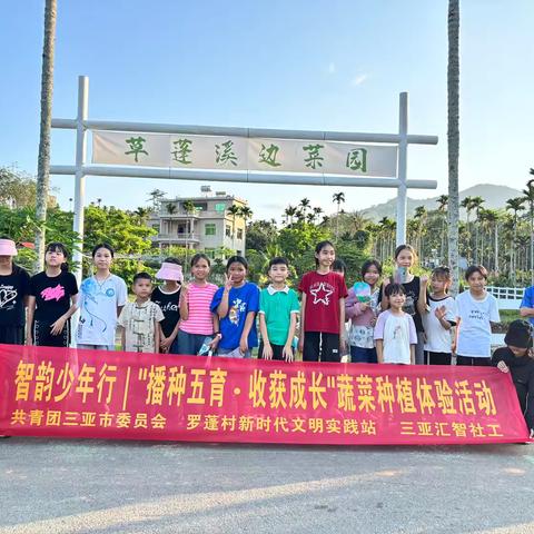 智韵少年行｜“播种五育，收获成长”蔬菜种植体验活动