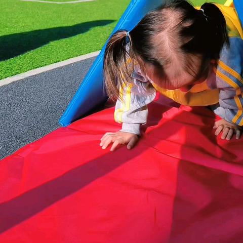 小班，十一月份的精彩瞬间！