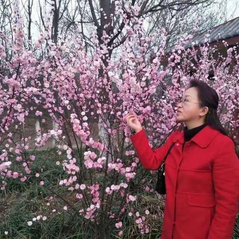 默默奉献 潜心育人——丛台区实验第四小学“最美教师”(五)