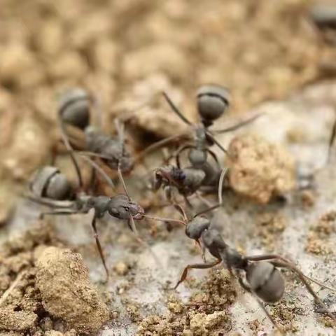 生物调查报告2312班蒋欣怡