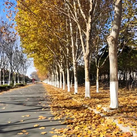 无相爱心2025年11月彰武县高中送款活动