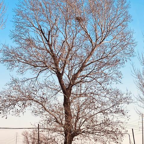 无相爱心2025年11月份法库县高中贫困家庭走访活动