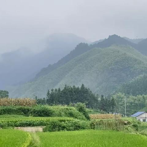 今天我下厨