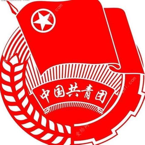 青年成团，熠熠生辉 ——长丰县阿奎利亚学校凤巢路校区新团员入团仪式纪实