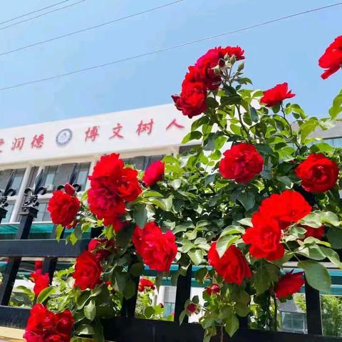 通研助教学 聚力启新篇——寿光市汇文学校小学部开展新学期教材通研活动