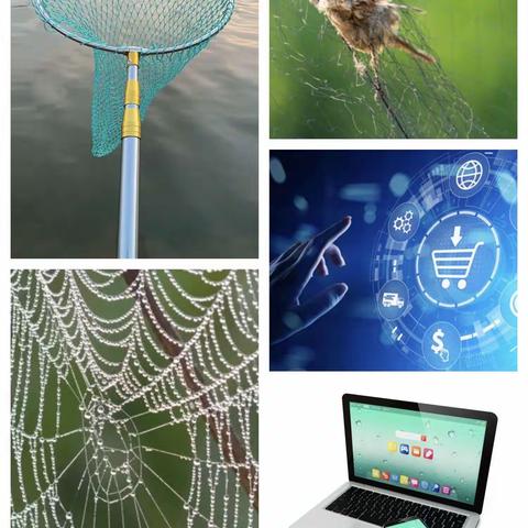 祯旨新幼稚园大三班第三个主题《神奇的网》给家长的一封信