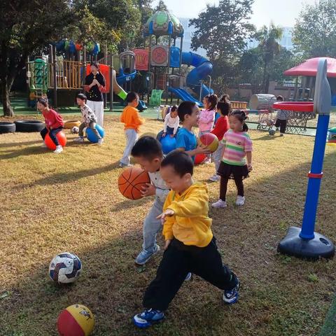 2023-10-16～10-20海豹班小朋友成长记录