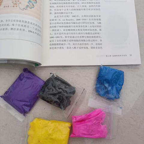 实践作业正常人体细胞染色体排列