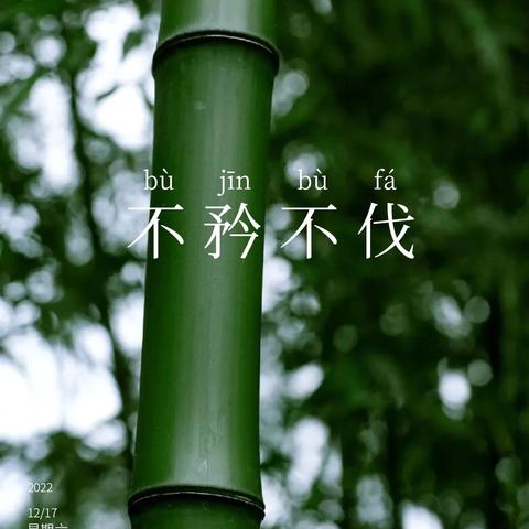 不负韶华逐新梦 勤勉明志谱新篇——西安市第四十四中学高一新生入学教育活动纪实