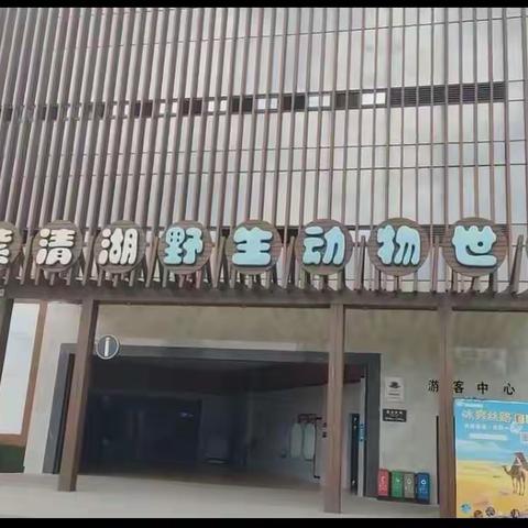 南京紫清湖动物园——快乐同行，一起“趣”春游