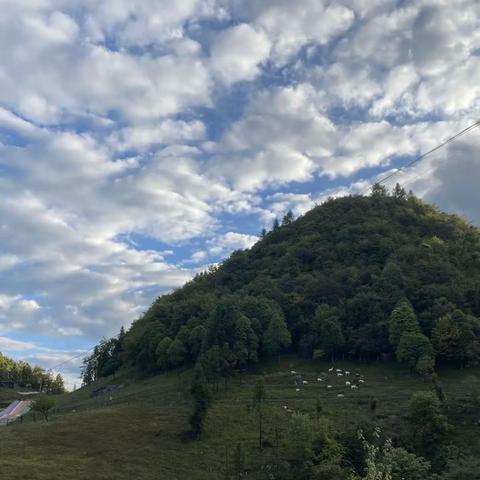 龙凤镇民族初级中学912班张秋月暑假实践报告之富尔山