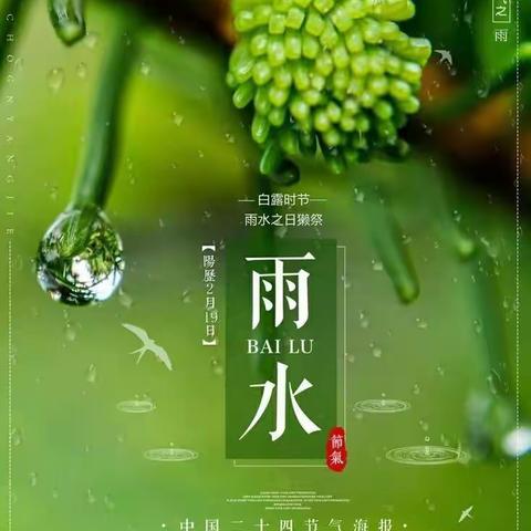 【善城红乡善学羊庄】 春意萌动，“雨”你相遇－－羊庄镇幼儿园雨水节气活动