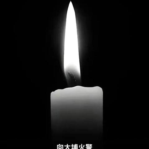 沉痛哀悼大埔宏福苑火災罹難者，致敬逆行英雄！