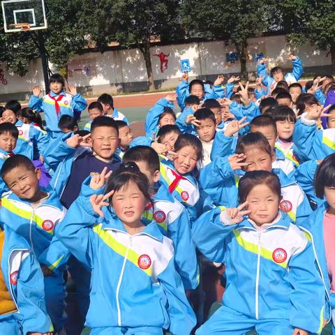 【美丽小雅】十一月的小美好，藏着成长的足迹——马庄小雅小学一年级班级回忆录