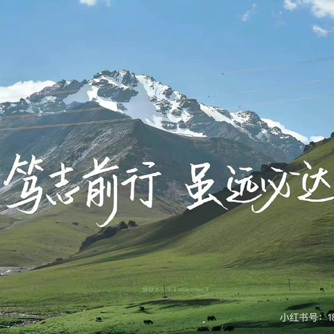 九（6）班✨全力以赴，定有所成