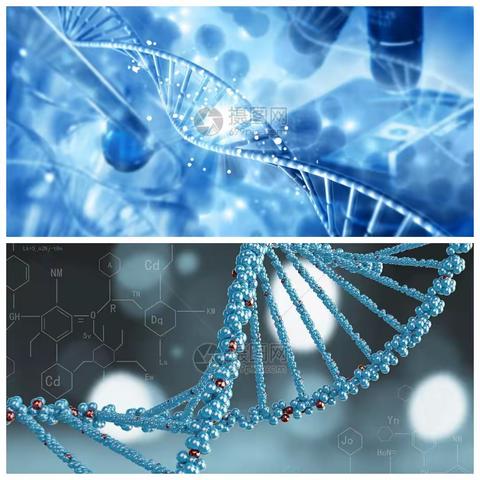 生物调查——梁家荣