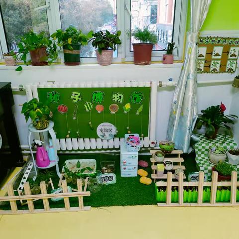 大四班区角环境创设🎉🎉