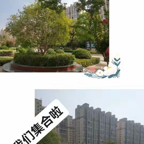 采访城市美容师的经历