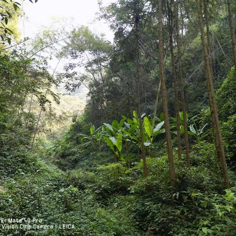 东坪中学2308班生物实践调查一龚朗