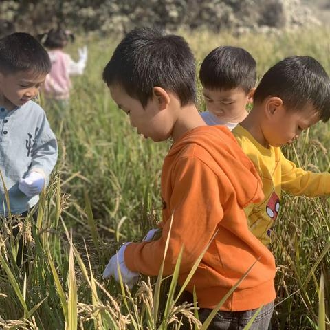 中三班幼儿园一周生活✌🏻️