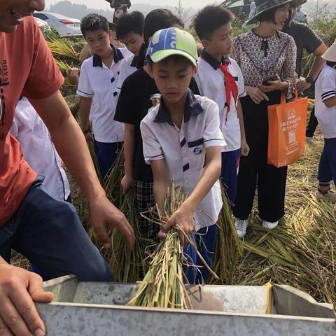 广之旅行社