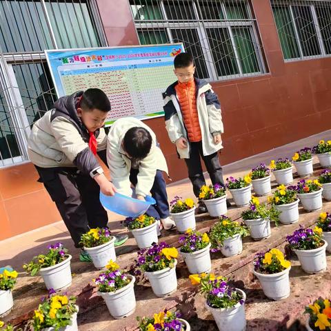 爱在植树节，做校园护绿小卫士
