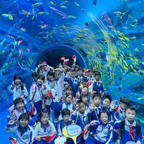 蔚蓝奇遇记 ——记一次穿越时空的海洋春游