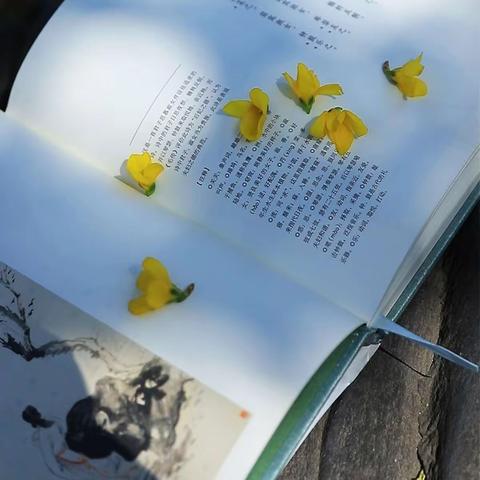 书香为伴 ， 悦读时光——第九师白杨职业技术学校