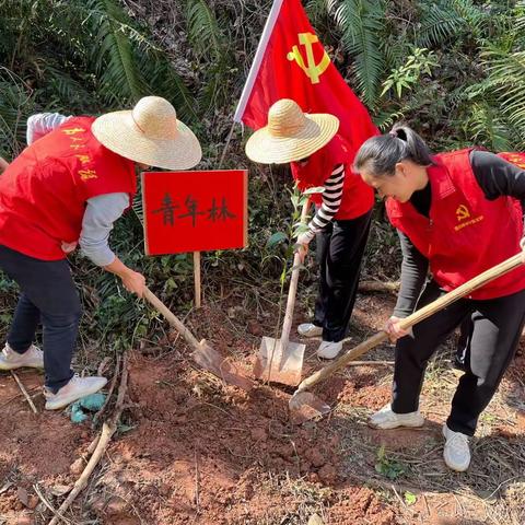 共植绿美青年林，志愿护绿向阳生长——莲都中学开展植树节实践活动