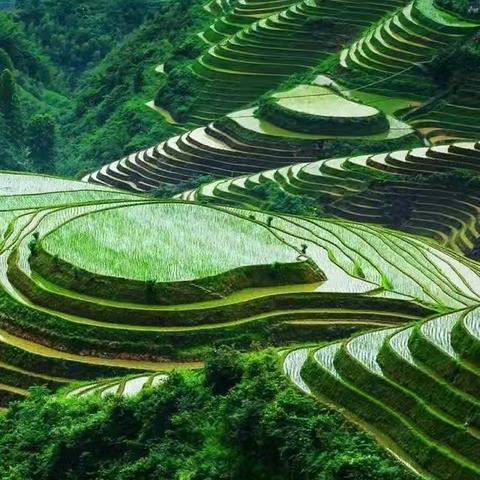 福建范氏堃公支派远祖源流