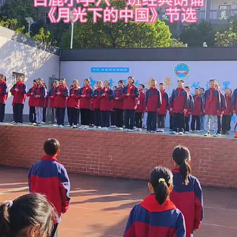 书香满校园，诵读伴成长—白鹿小学阅读提升活动纪实