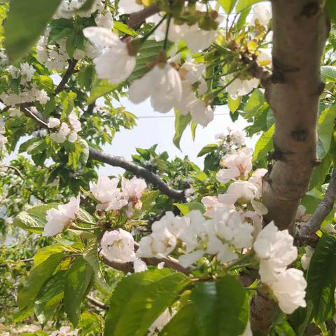 用户13727509的简篇