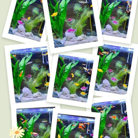 用户13727509的简篇