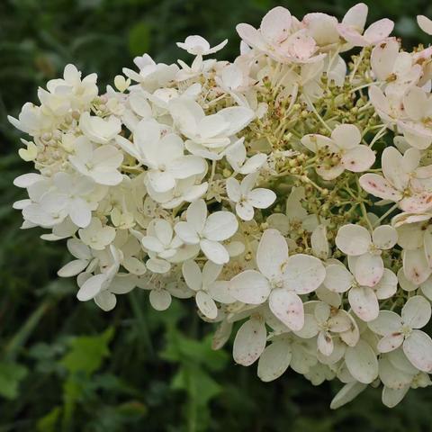 教师节部分学生习作（二）