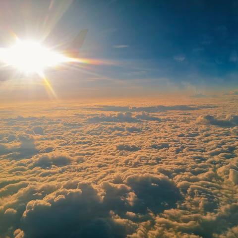 你陪我长大，我陪你变老—— 五(8）班