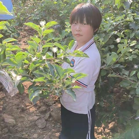 五（7）班感恩系列（六）