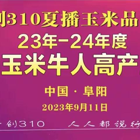 2023-2024年度隆创祺华玉米牛人高产王大奖赛—安徽站