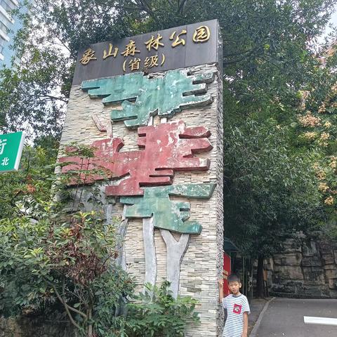 走进鸟类世界，共享美好家园